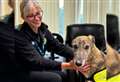 ‘An amazing project’: Meet the dogs supporting ambulance staff’s wellbeing