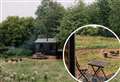 We ditched our smartphones for Suffolk countryside at this rural cabin